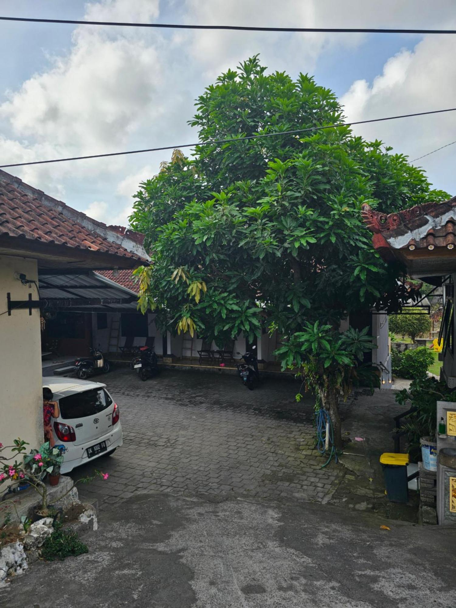Padang-Padang Sari Homestay Uluwatu Habitación foto